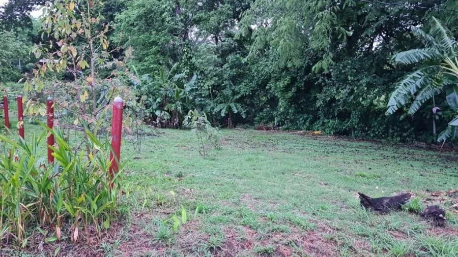 Lote en Venta en San Rafael, Alajuela. RAH 23-2581 - Venta en San Rafael