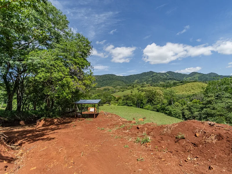 Land For Sale in Samara, photo 2