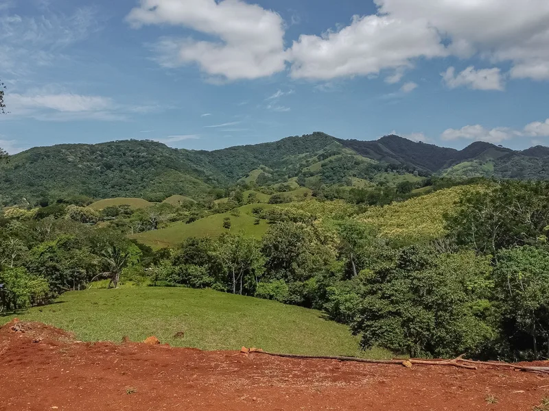Land For Sale in Samara, photo 3