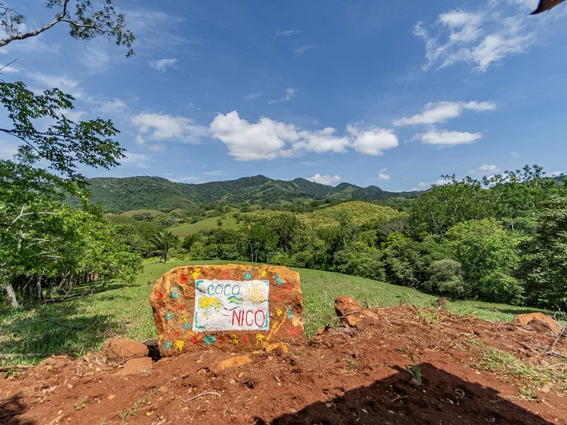 Land For Sale in Samara, photo 8