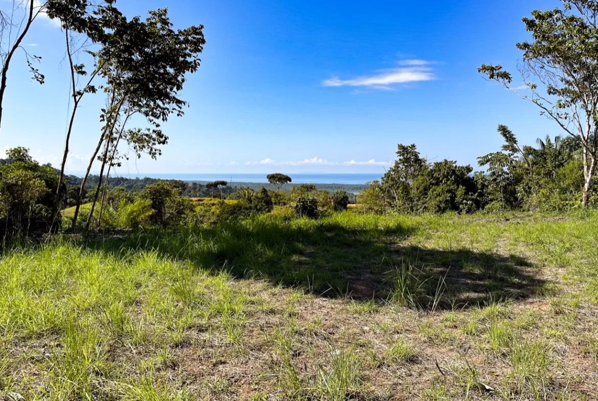 EXCEPTIONAL BUILDING OPPORTUNITY WITH BREATHTAKING VIEWS IN TRES RIOS, COSTA AZUL – 1.6 ACRES, photo 12