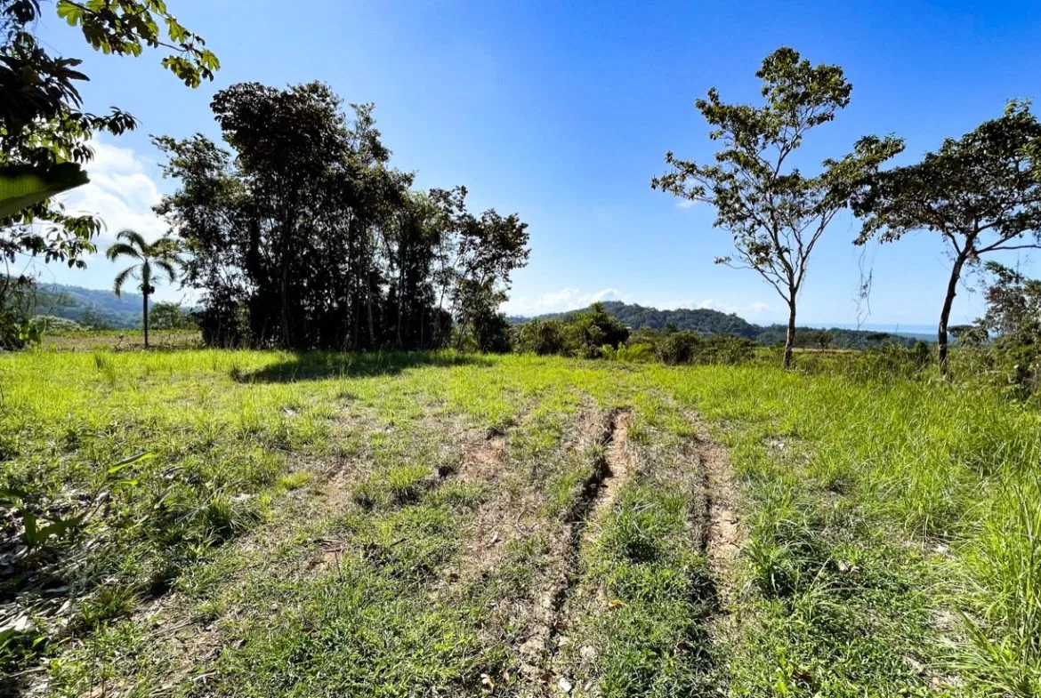 EXCEPTIONAL BUILDING OPPORTUNITY WITH BREATHTAKING VIEWS IN TRES RIOS, COSTA AZUL – 1.6 ACRES, photo 14