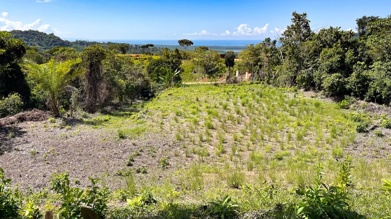 EXCEPTIONAL BUILDING OPPORTUNITY WITH BREATHTAKING VIEWS IN TRES RIOS, COSTA AZUL – 1.6 ACRES, photo 15
