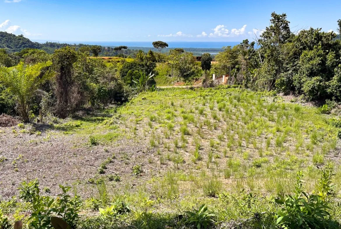 EXCEPTIONAL BUILDING OPPORTUNITY WITH BREATHTAKING VIEWS IN TRES RIOS, COSTA AZUL – 1.6 ACRES, photo 16
