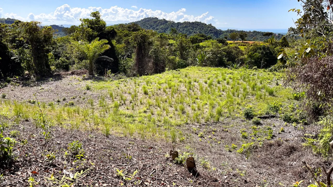EXCEPTIONAL BUILDING OPPORTUNITY WITH BREATHTAKING VIEWS IN TRES RIOS, COSTA AZUL – 1.6 ACRES, photo 17