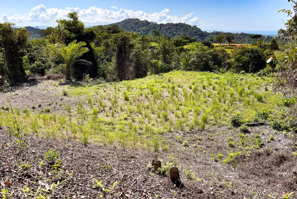 EXCEPTIONAL BUILDING OPPORTUNITY WITH BREATHTAKING VIEWS IN TRES RIOS, COSTA AZUL – 1.6 ACRES, photo 18