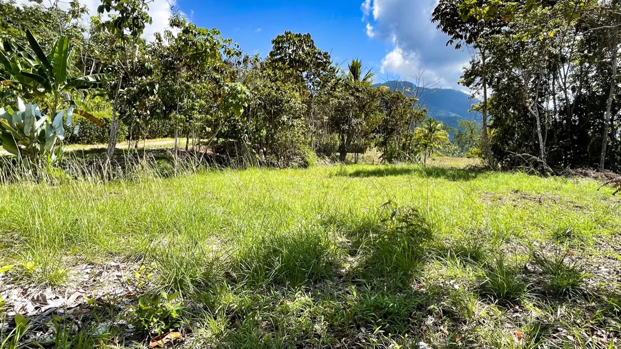 EXCEPTIONAL BUILDING OPPORTUNITY WITH BREATHTAKING VIEWS IN TRES RIOS, COSTA AZUL – 1.6 ACRES, photo 19
