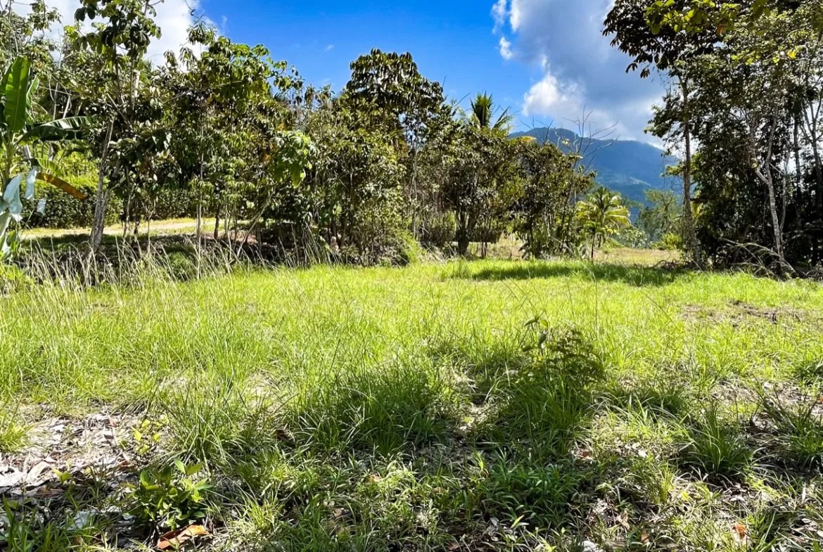 EXCEPTIONAL BUILDING OPPORTUNITY WITH BREATHTAKING VIEWS IN TRES RIOS, COSTA AZUL – 1.6 ACRES, photo 20