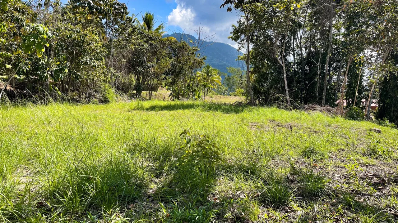 EXCEPTIONAL BUILDING OPPORTUNITY WITH BREATHTAKING VIEWS IN TRES RIOS, COSTA AZUL – 1.6 ACRES, photo 21