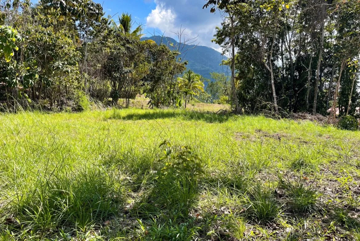EXCEPTIONAL BUILDING OPPORTUNITY WITH BREATHTAKING VIEWS IN TRES RIOS, COSTA AZUL – 1.6 ACRES, photo 22