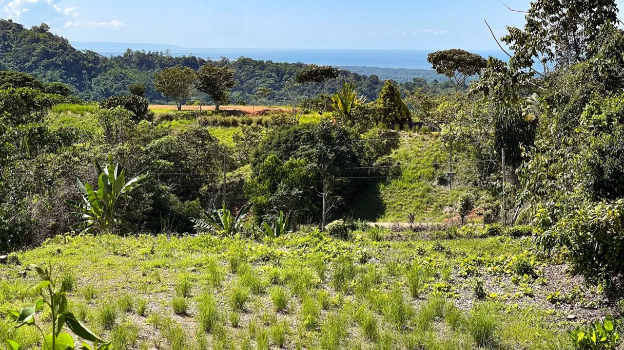 EXCEPTIONAL BUILDING OPPORTUNITY WITH BREATHTAKING VIEWS IN TRES RIOS, COSTA AZUL – 1.6 ACRES, photo 23