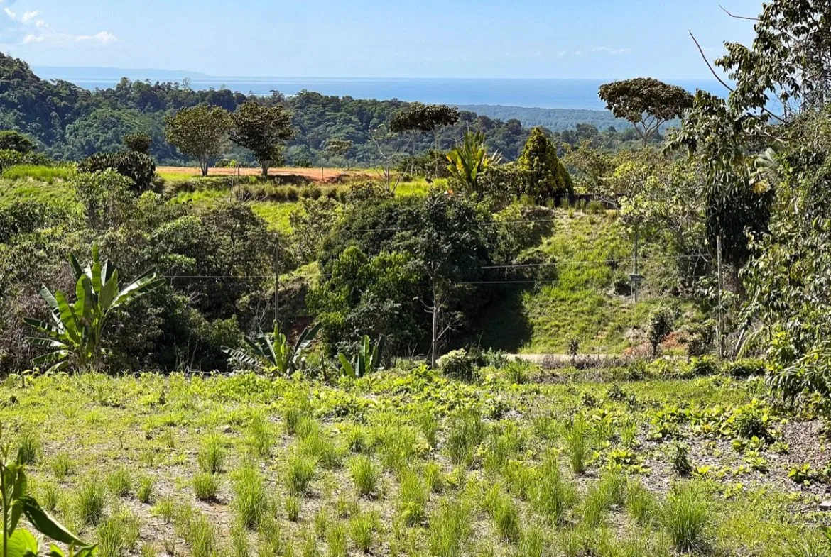 EXCEPTIONAL BUILDING OPPORTUNITY WITH BREATHTAKING VIEWS IN TRES RIOS, COSTA AZUL – 1.6 ACRES, photo 24