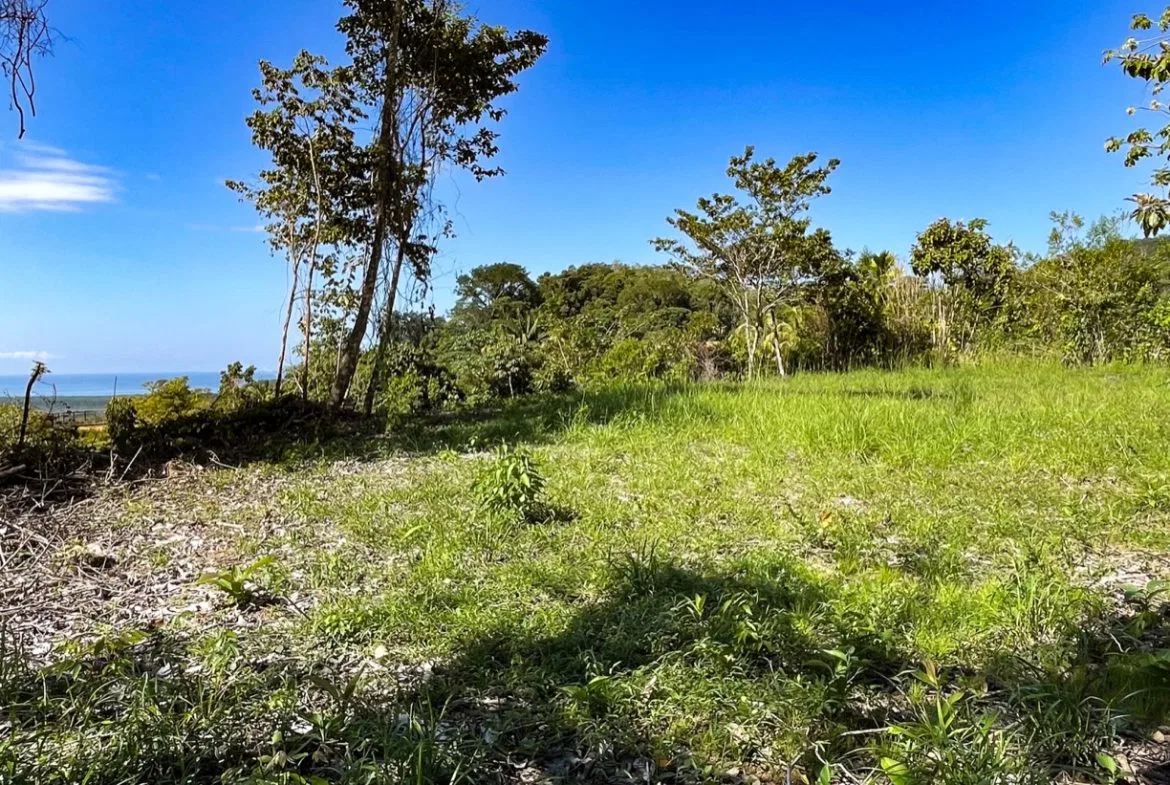 EXCEPTIONAL BUILDING OPPORTUNITY WITH BREATHTAKING VIEWS IN TRES RIOS, COSTA AZUL – 1.6 ACRES, photo 6