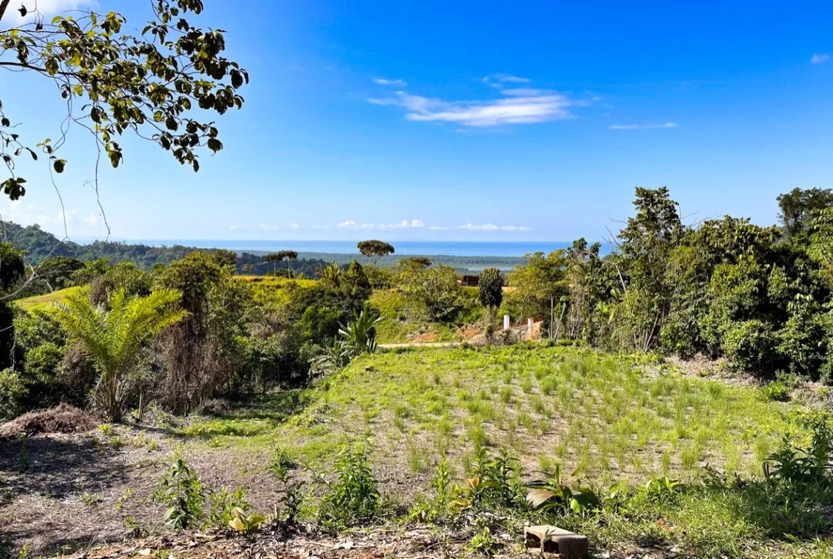 EXCEPTIONAL BUILDING OPPORTUNITY WITH BREATHTAKING VIEWS IN TRES RIOS, COSTA AZUL – 1.6 ACRES, photo 8
