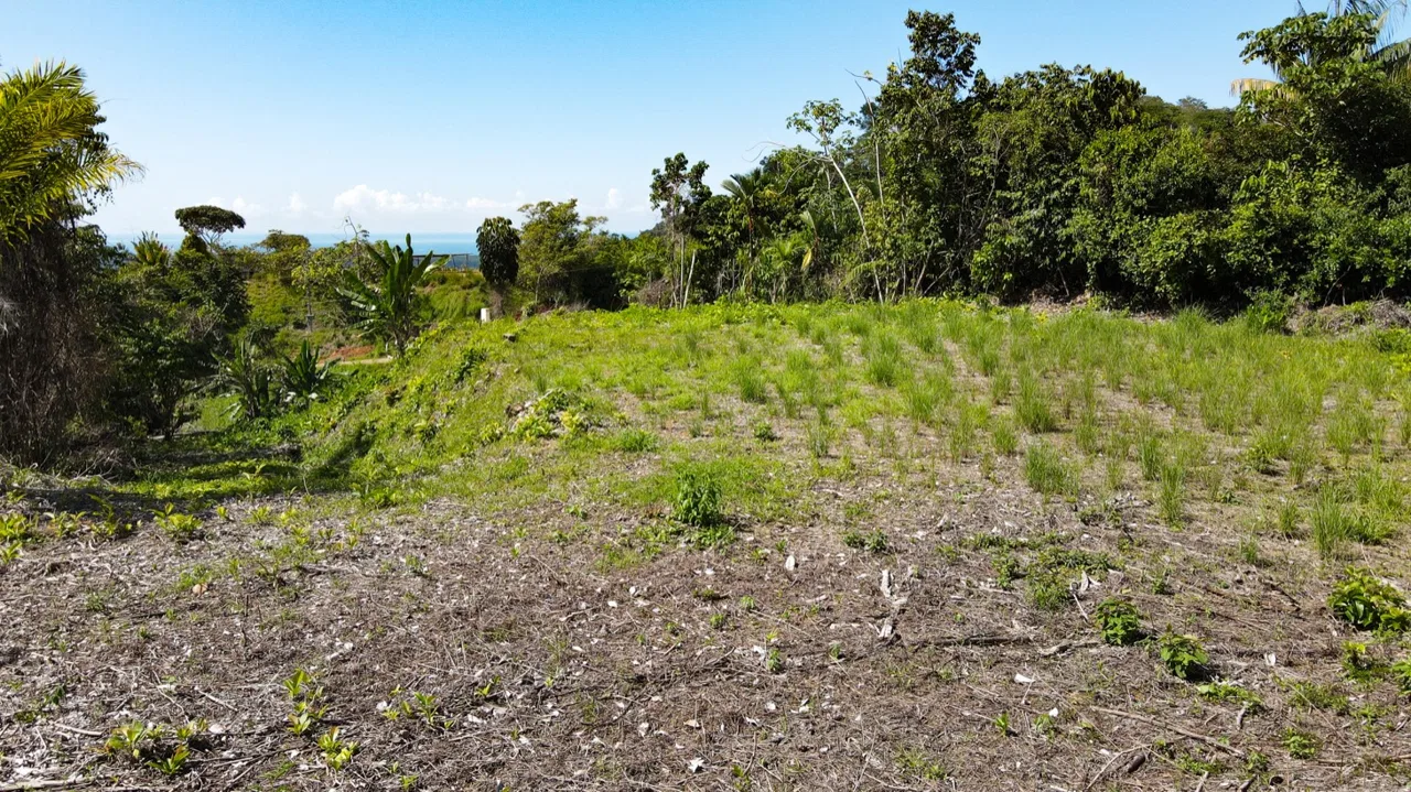 EXCEPTIONAL BUILDING OPPORTUNITY WITH BREATHTAKING VIEWS IN TRES RIOS, COSTA AZUL – 1.6 ACRES, photo 9