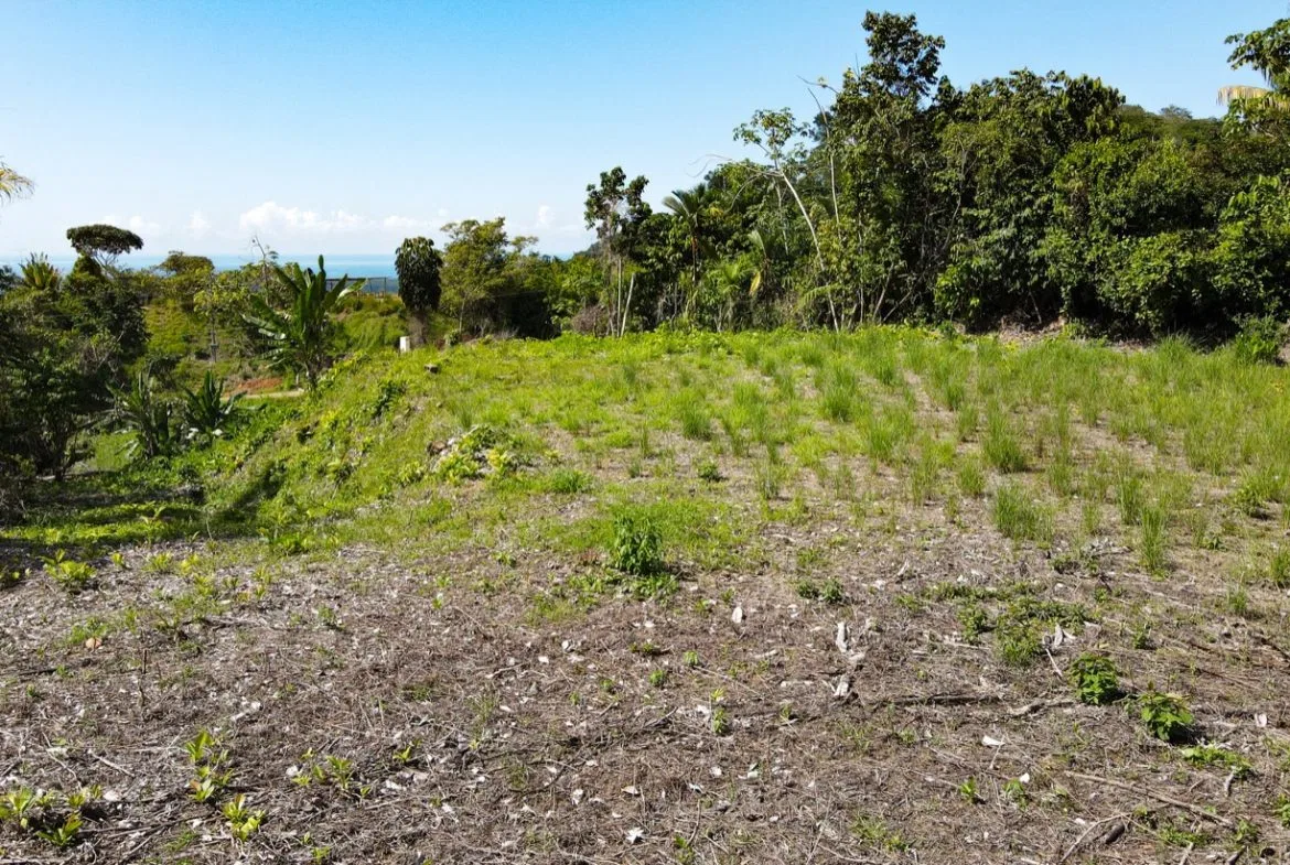 EXCEPTIONAL BUILDING OPPORTUNITY WITH BREATHTAKING VIEWS IN TRES RIOS, COSTA AZUL – 1.6 ACRES, photo 10