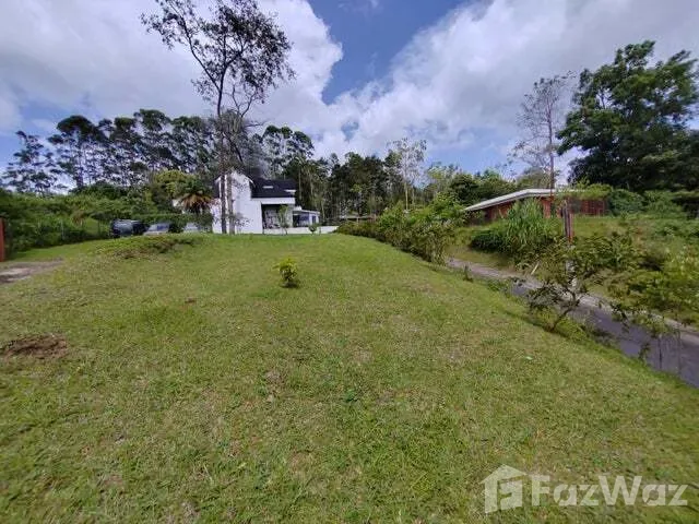 Land for Sale at Montes de Oca for $172,000, photo 6