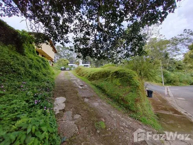 Land for Sale at Montes de Oca for $172,000, photo 7
