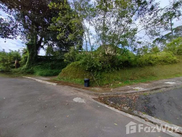 Land for Sale at Montes de Oca for $172,000, photo 8
