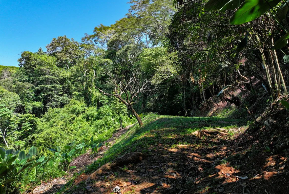 OCEAN VIEW LOT IN GATED COMMUNITY – 2.7 ACRES, photo 11
