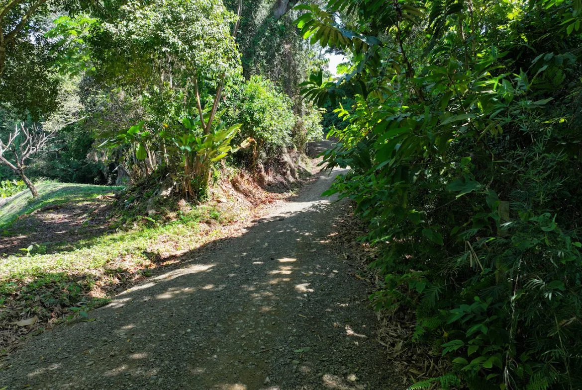 OCEAN VIEW LOT IN GATED COMMUNITY – 2.7 ACRES, photo 13