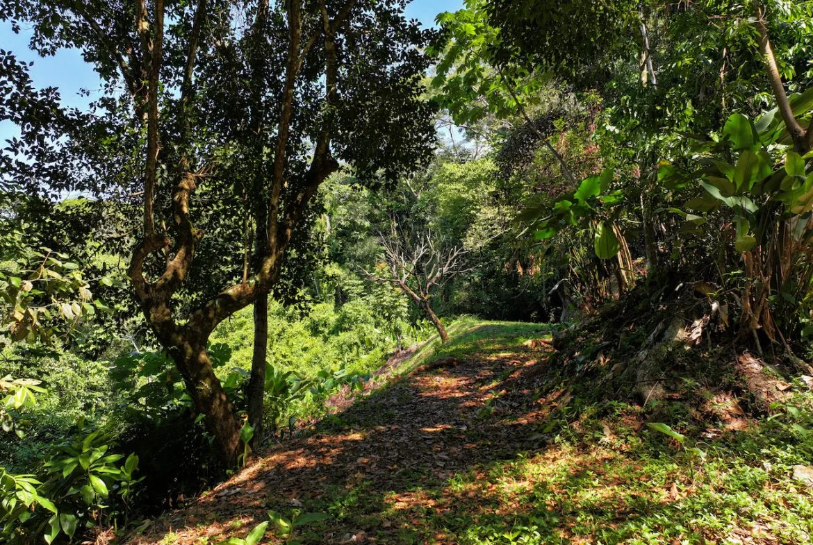 OCEAN VIEW LOT IN GATED COMMUNITY – 2.7 ACRES, photo 15