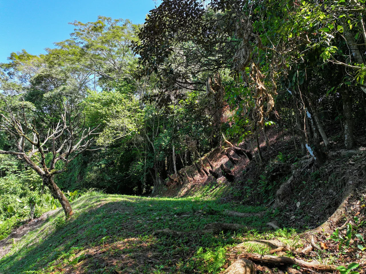 OCEAN VIEW LOT IN GATED COMMUNITY – 2.7 ACRES, photo 6