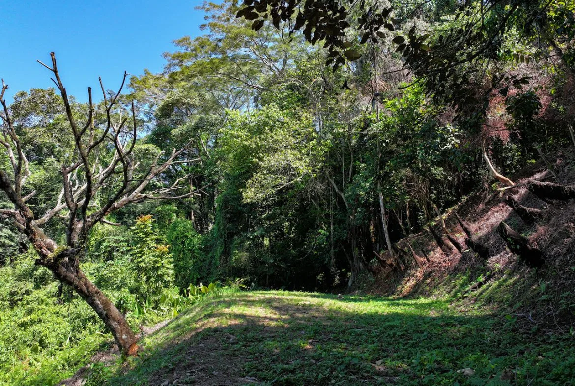 OCEAN VIEW LOT IN GATED COMMUNITY – 2.7 ACRES, photo 9