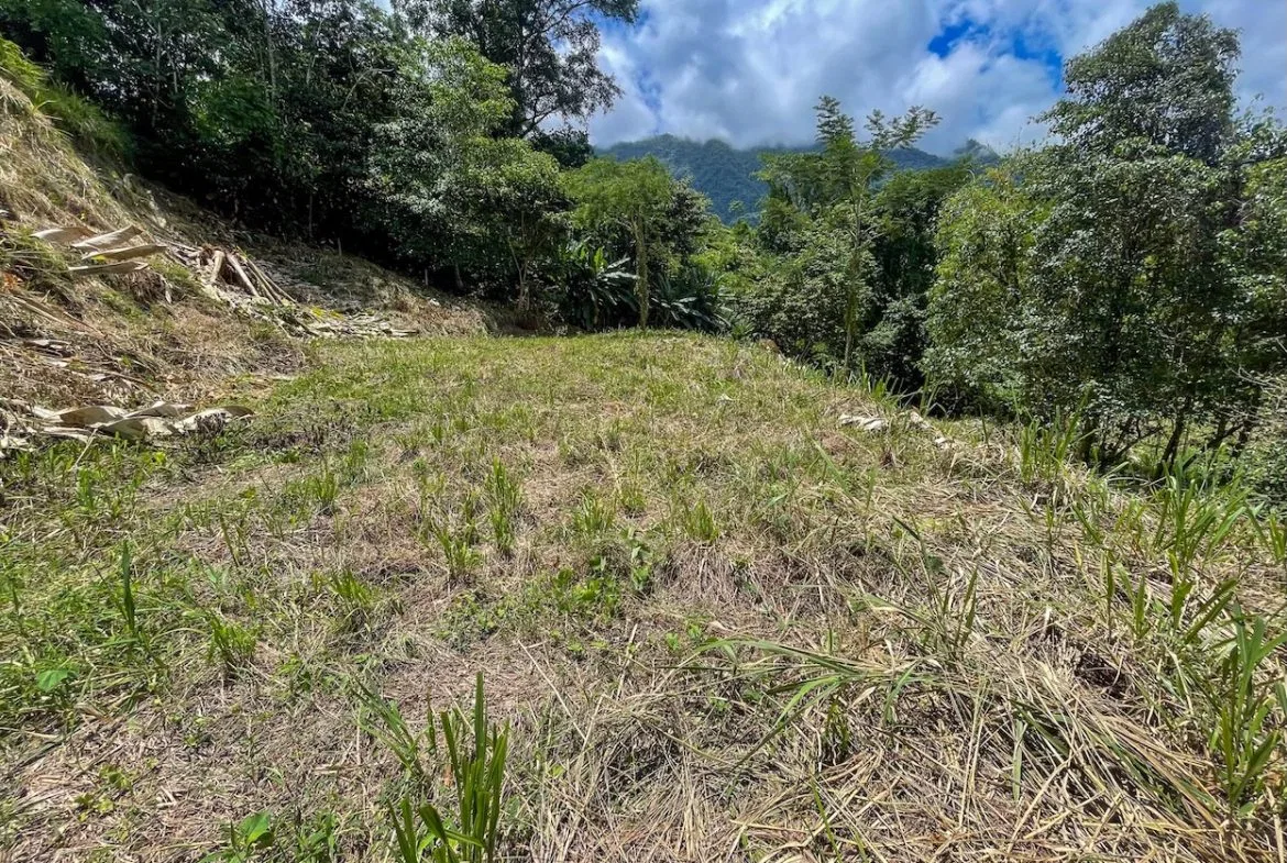 BUILDING PROPERTY WITH TREES VIEWS, IN OJOCHAL – 1.6 ACRES, photo 2