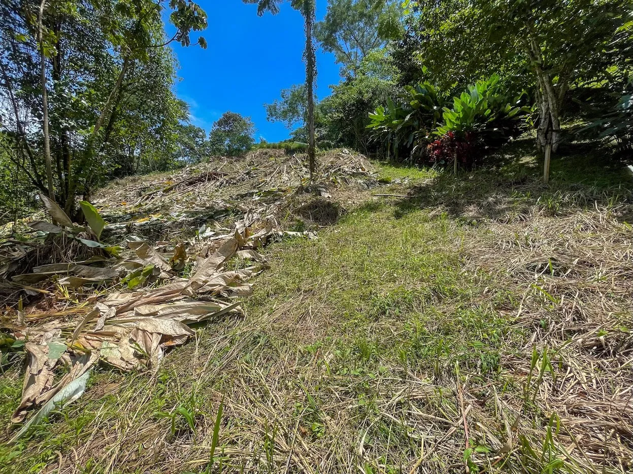 BUILDING PROPERTY WITH TREES VIEWS, IN OJOCHAL – 1.6 ACRES, photo 13