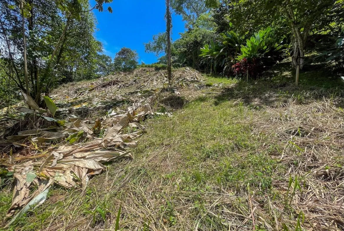 BUILDING PROPERTY WITH TREES VIEWS, IN OJOCHAL – 1.6 ACRES, photo 14