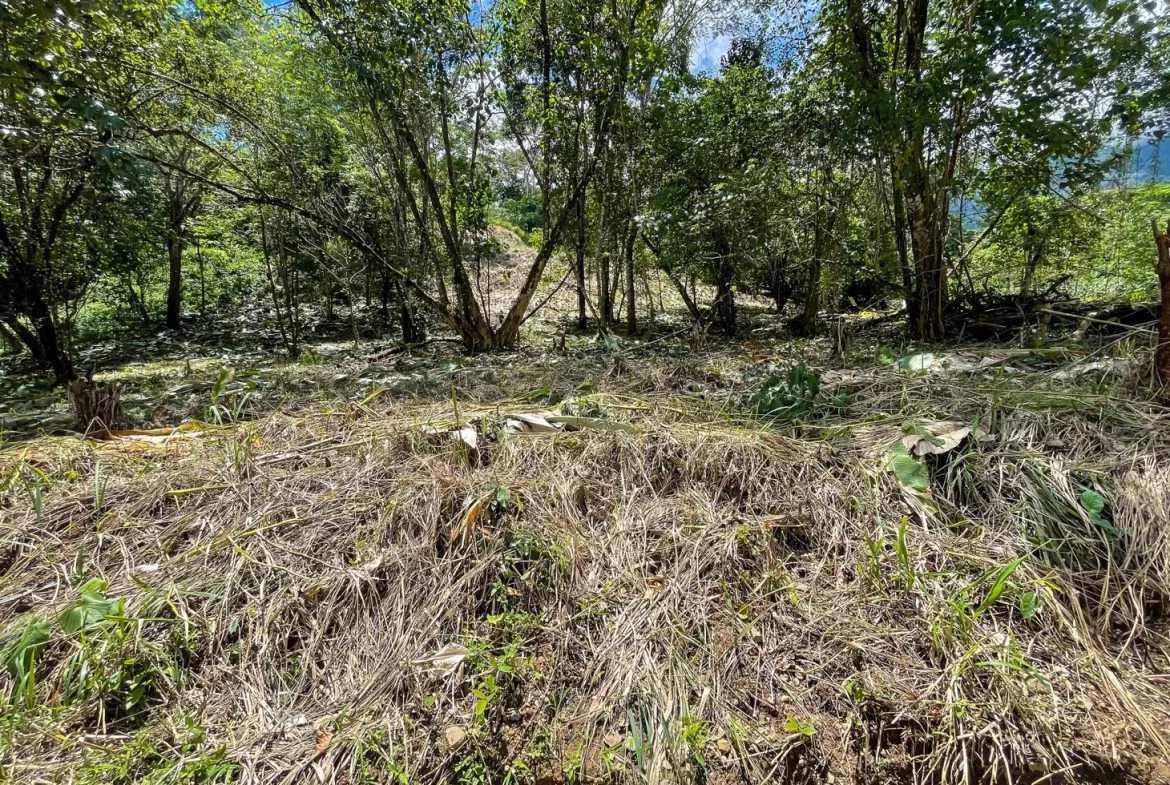 BUILDING PROPERTY WITH TREES VIEWS, IN OJOCHAL – 1.6 ACRES, photo 20