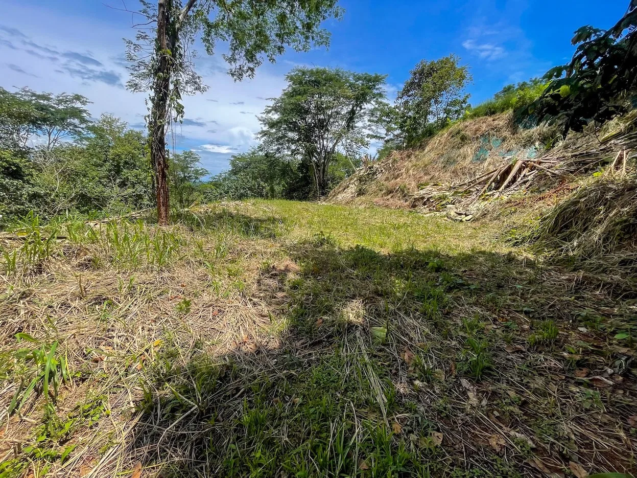 BUILDING PROPERTY WITH TREES VIEWS, IN OJOCHAL – 1.6 ACRES, photo 3