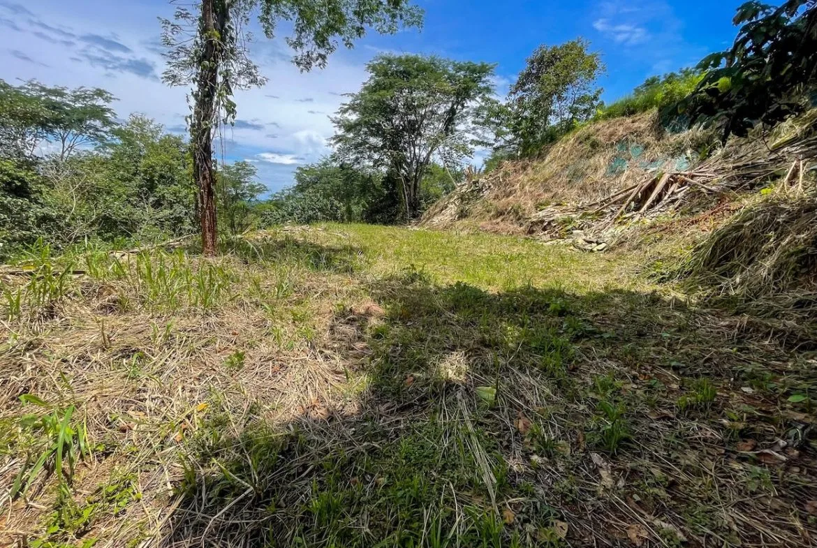 BUILDING PROPERTY WITH TREES VIEWS, IN OJOCHAL – 1.6 ACRES, photo 4