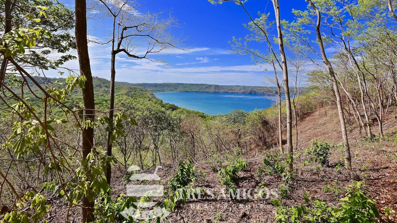 Reserva Papagayo, photo 2