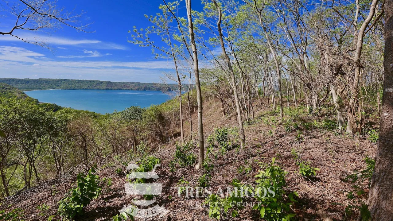 Reserva Papagayo, photo 4
