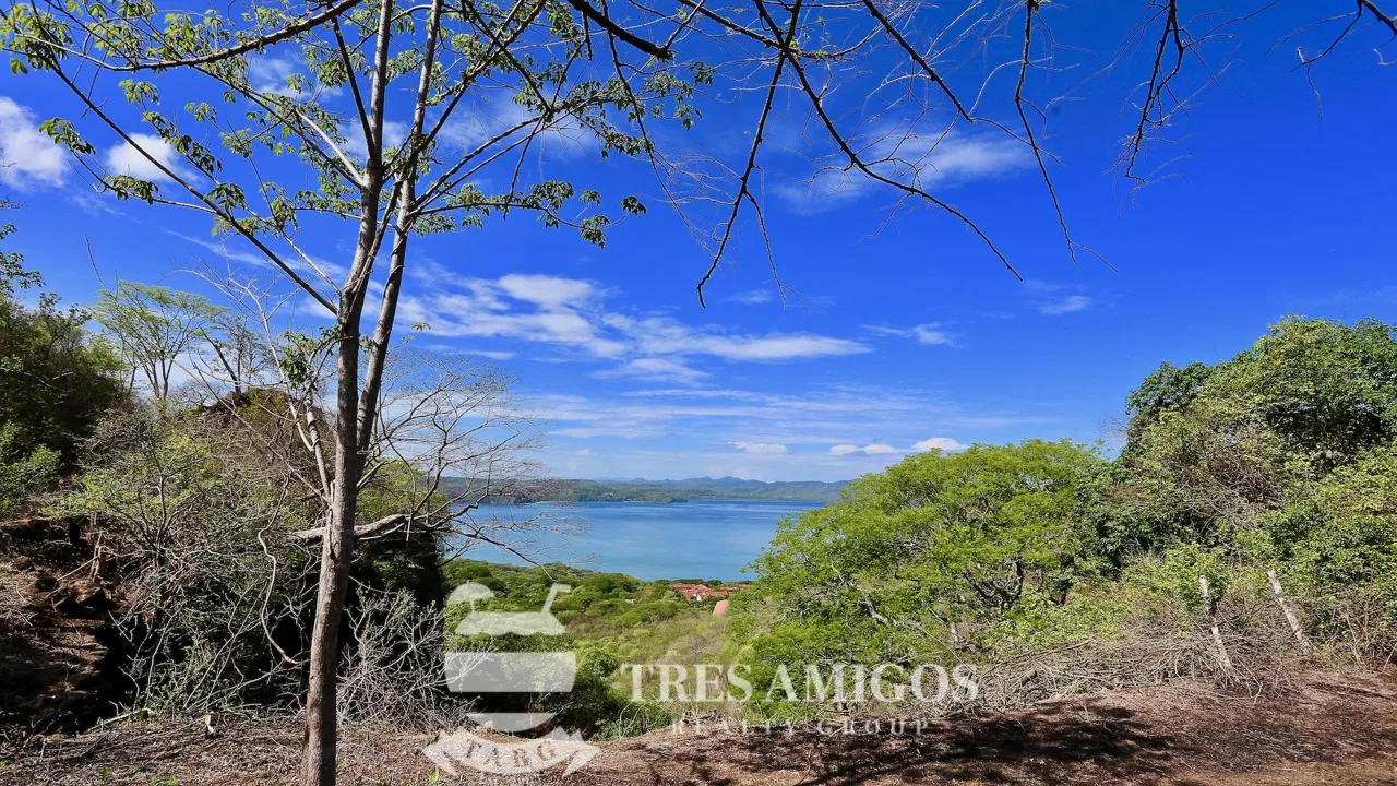 Reserva Papagayo, photo 5