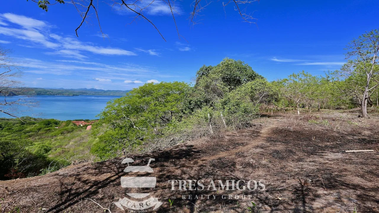 Reserva Papagayo, photo 6