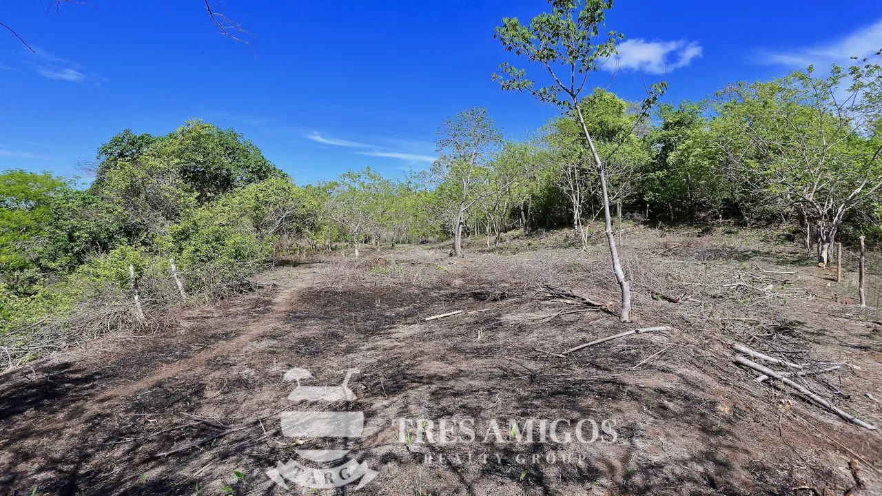 Reserva Papagayo, photo 7