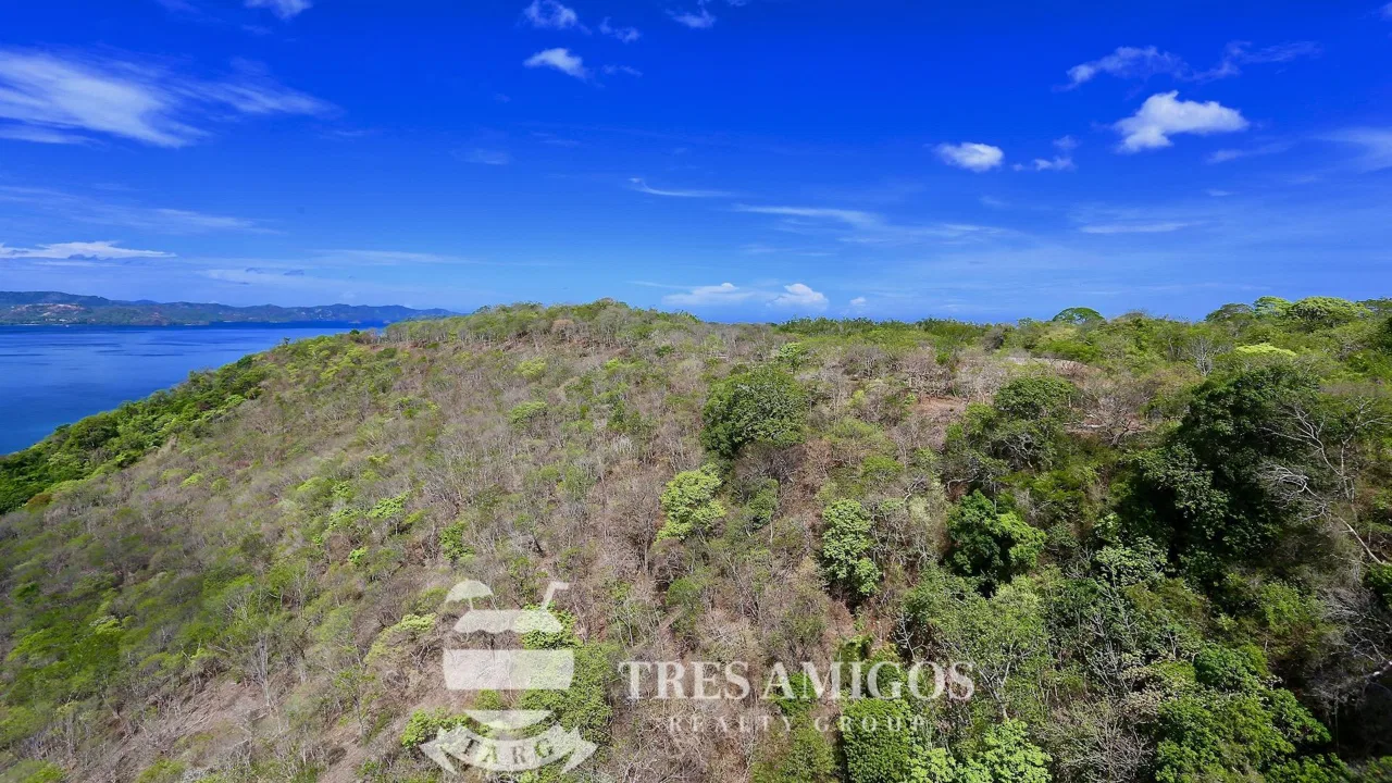Reserva Papagayo, photo 10