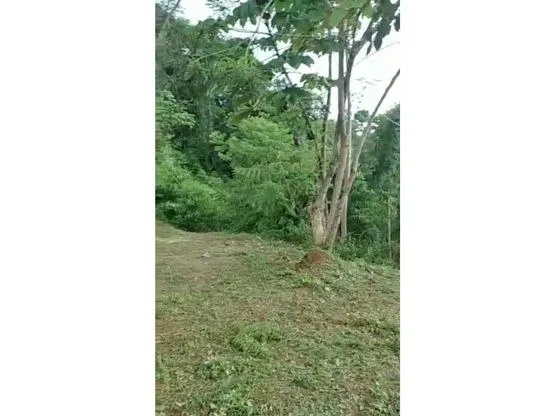 Home Construction Site For Sale in Bijagual, photo 7
