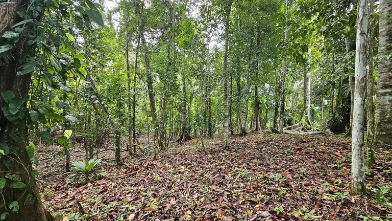 ID 1028: Expansive Multi Level Titled Parcel with Privacy and Development Flexibility, photo 9