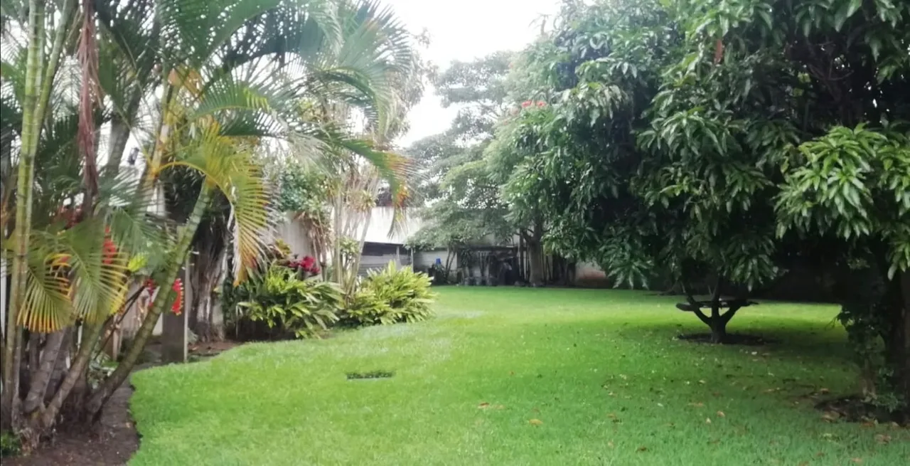 Se vende propiedad para desarrollo vertical en Sabana Sur.