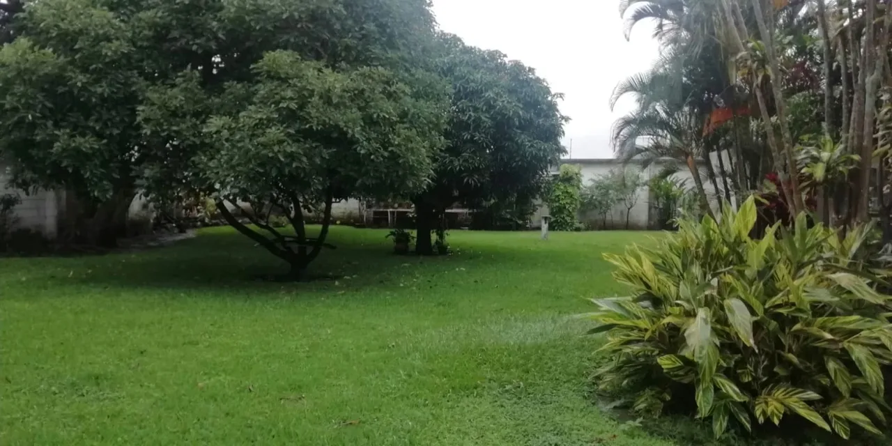Se vende propiedad para desarrollo vertical en Sabana Sur., photo 2