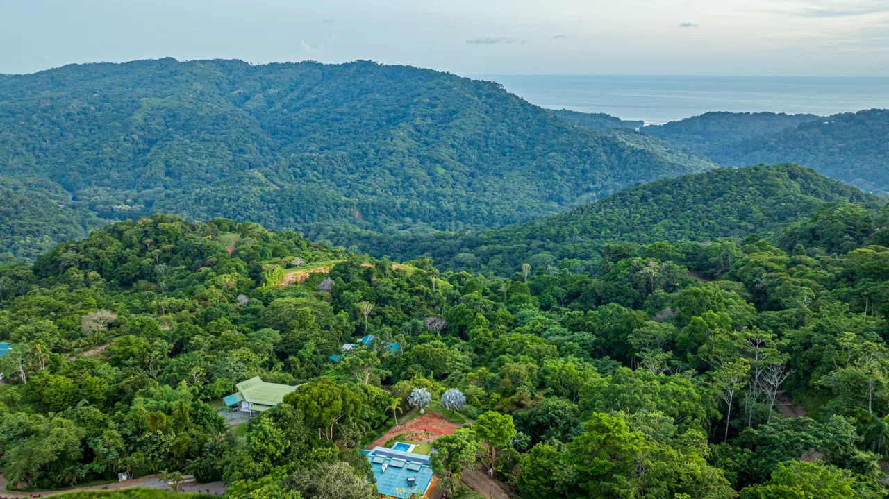 Premium Ocean View Lot with Move-In Ready Casita | Cacao Estates – 2 acres, photo 16