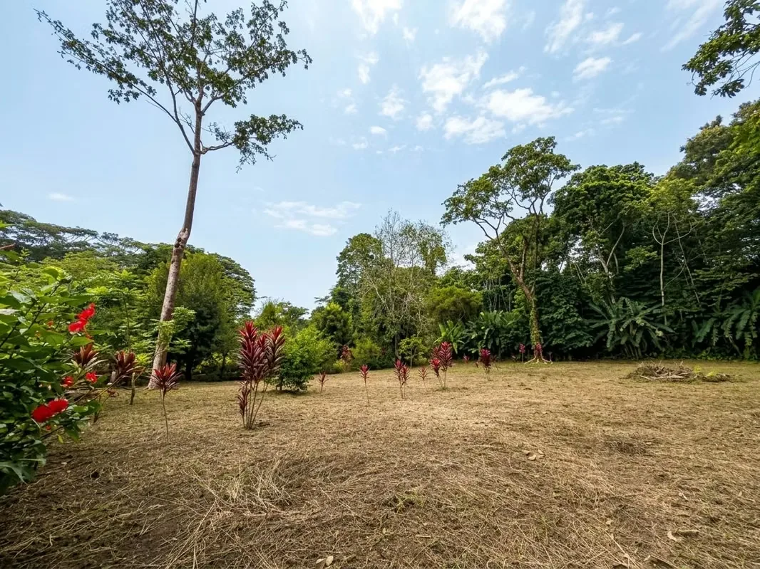 Just five minutes walk from the entrance to Puerto Vargas of Cahuita National Park, this exclusive lot offers you the unique opportunity to build your residence immersed in one of the ...