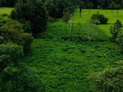 Strategic 5000sqm Commercial Property in Uvita: Perfect for any Business Vision, photo 11