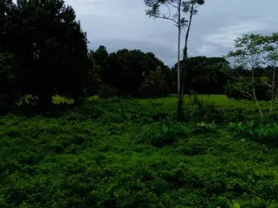 Strategic 5000sqm Commercial Property in Uvita: Perfect for any Business Vision, photo 12
