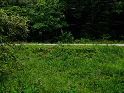 Strategic 5000sqm Commercial Property in Uvita: Perfect for any Business Vision, photo 13