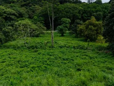 Strategic 5000sqm Commercial Property in Uvita: Perfect for any Business Vision, photo 14